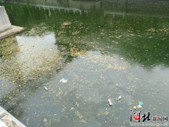 明陞m88网站 近日上游污水处理厂管道断裂